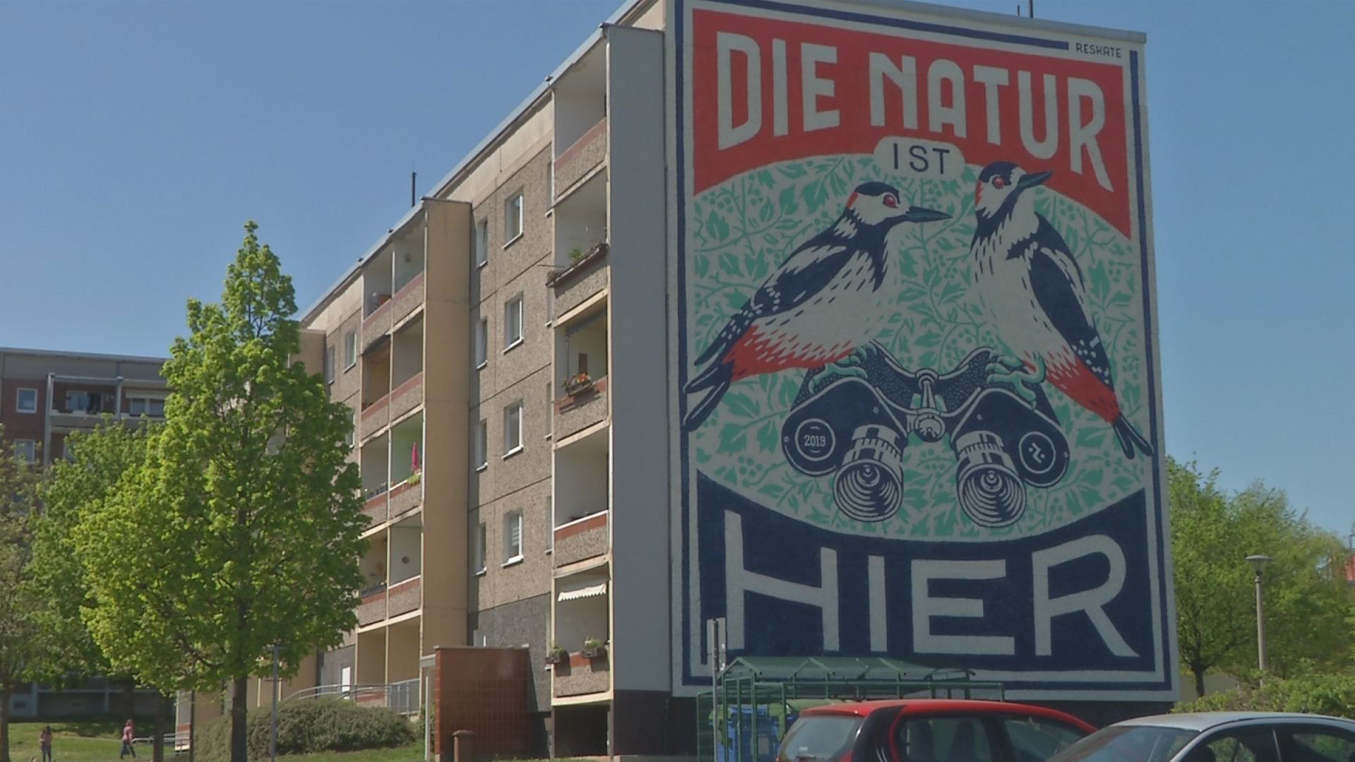 Fertiggestellt: Das neue Wandbild in Winzerla soll den Stadtteil noch schöner machen