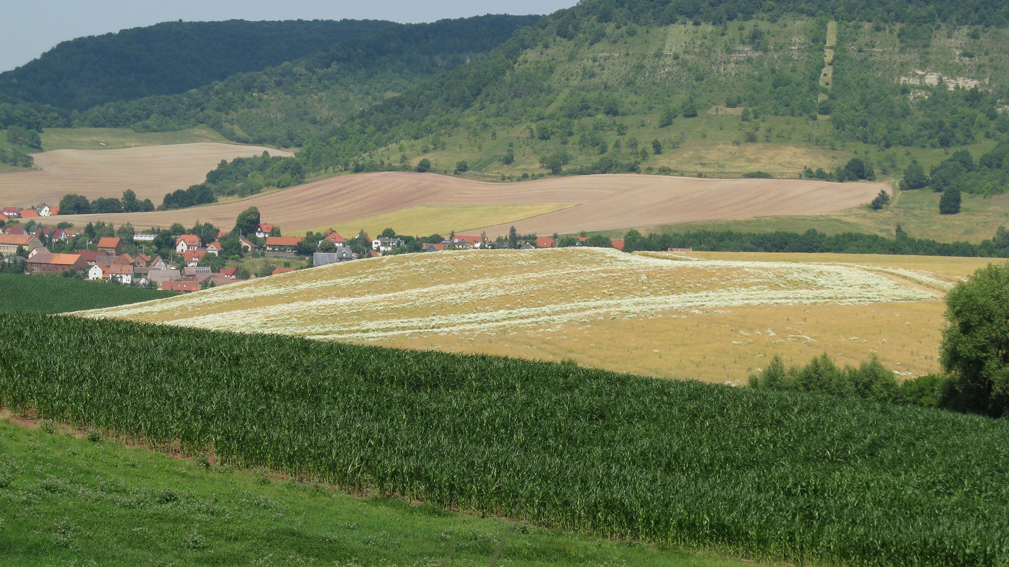 „Landschaftsbild Jena“ im Fokus