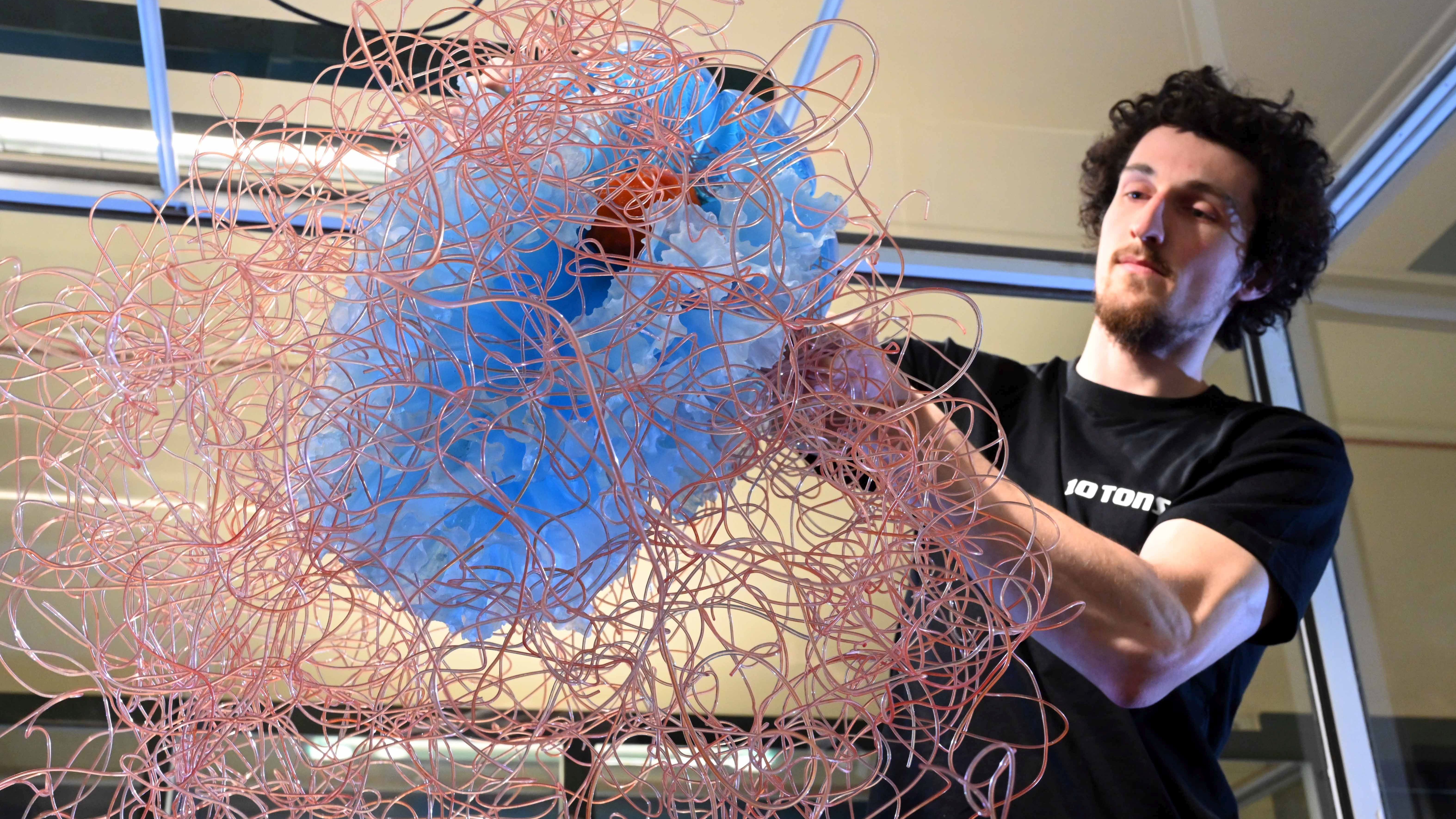 Ausstellung „10 Tons – Medusen – Ernst Haeckel“