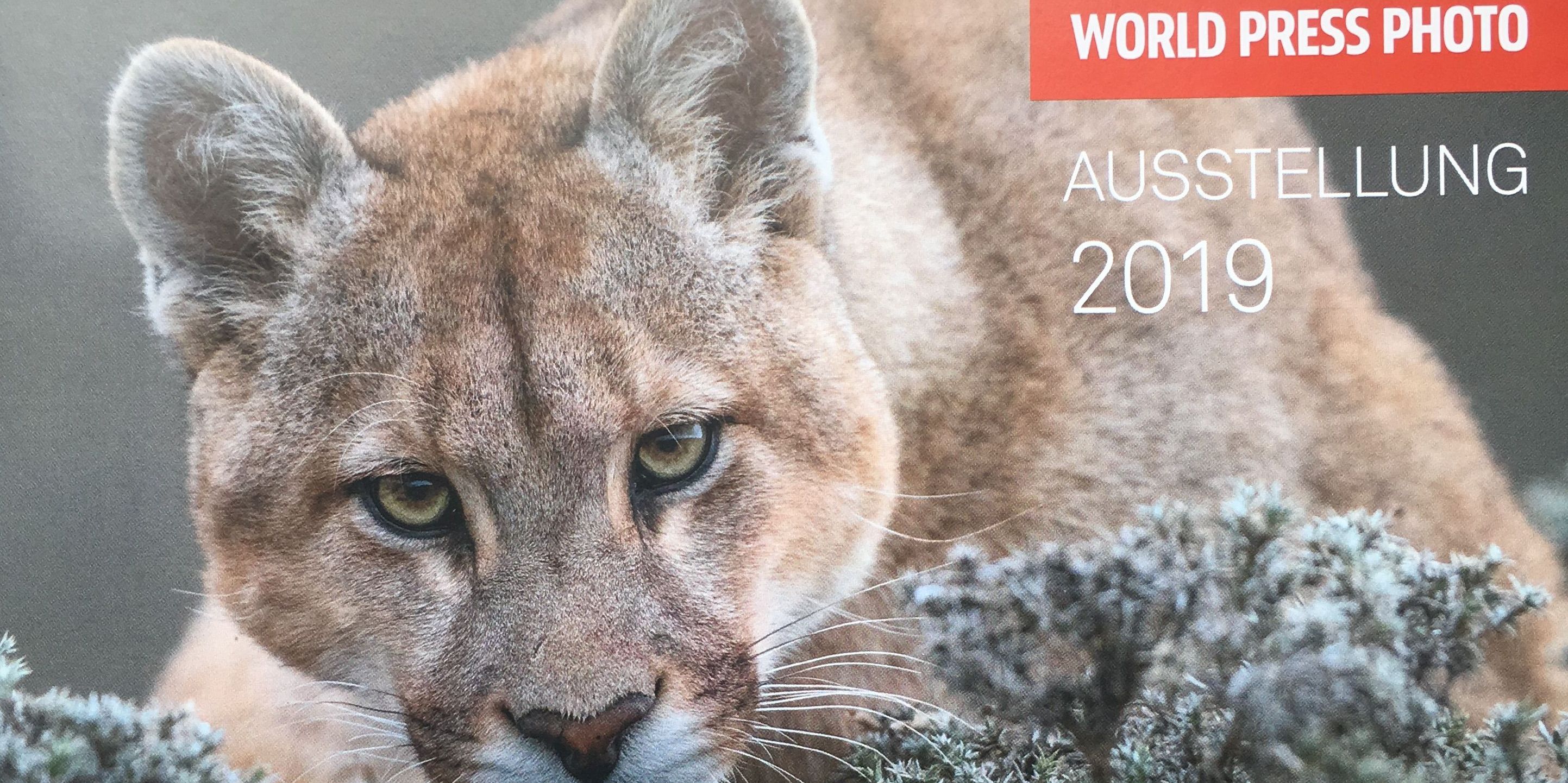 World Press Photo in der Goethe Galerie