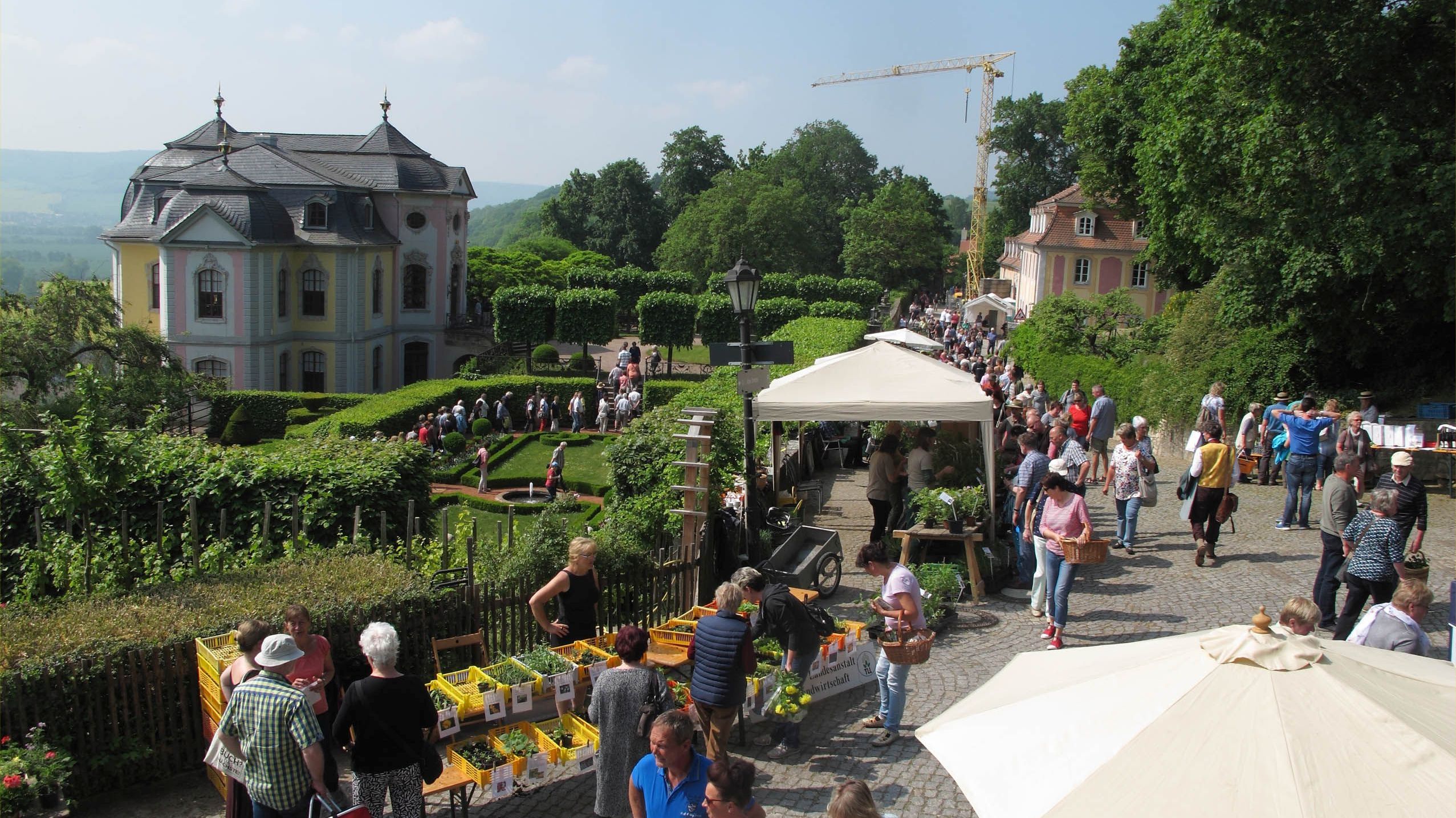 Dornburger Pflanzenbörse am 11. Mai