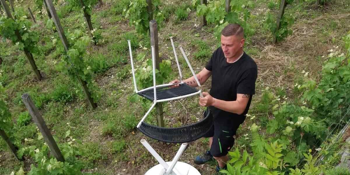 Vandalismus in den Dornburger Schlossgärten
