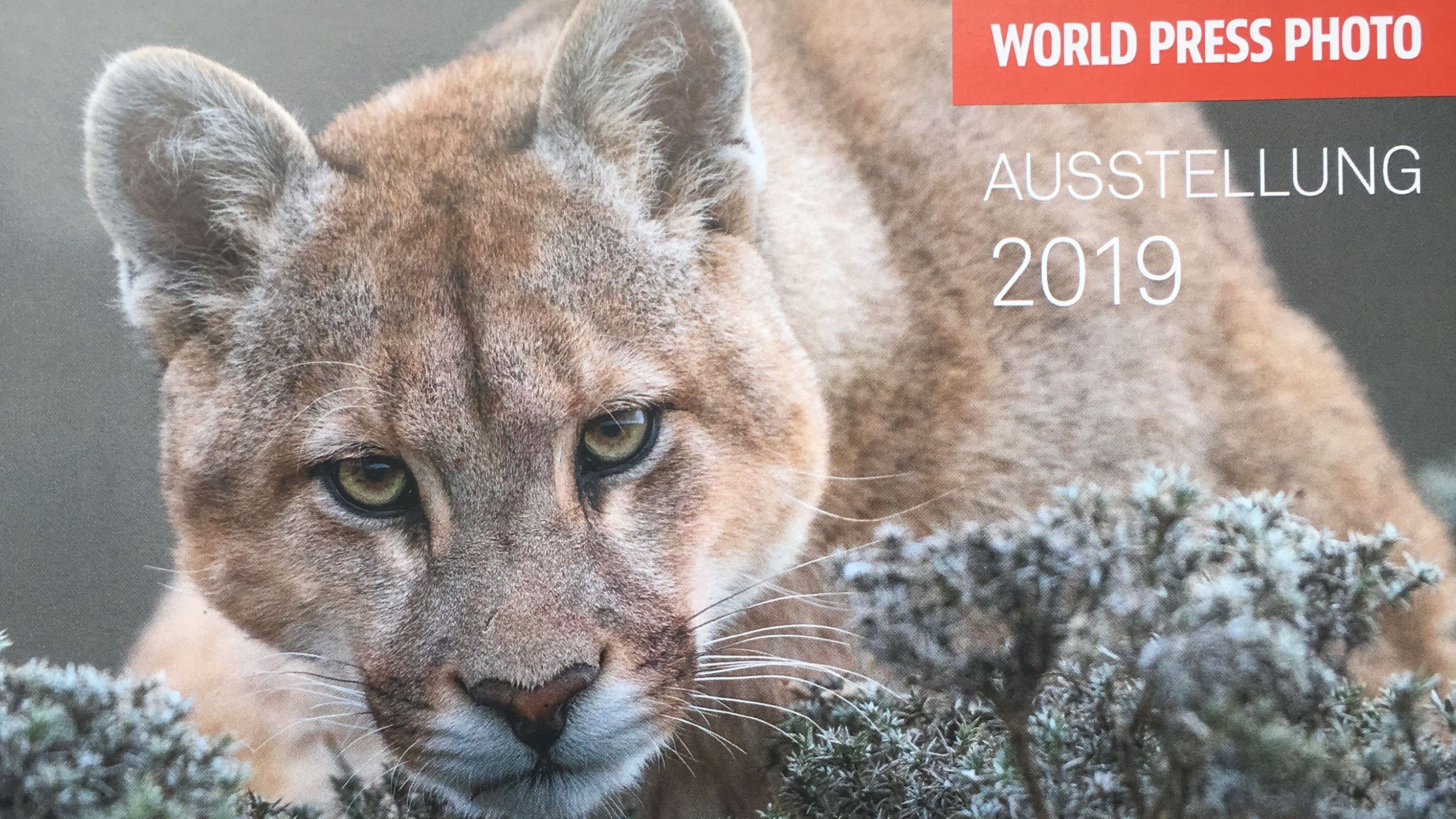 World Press Photo in der Goethe Galerie