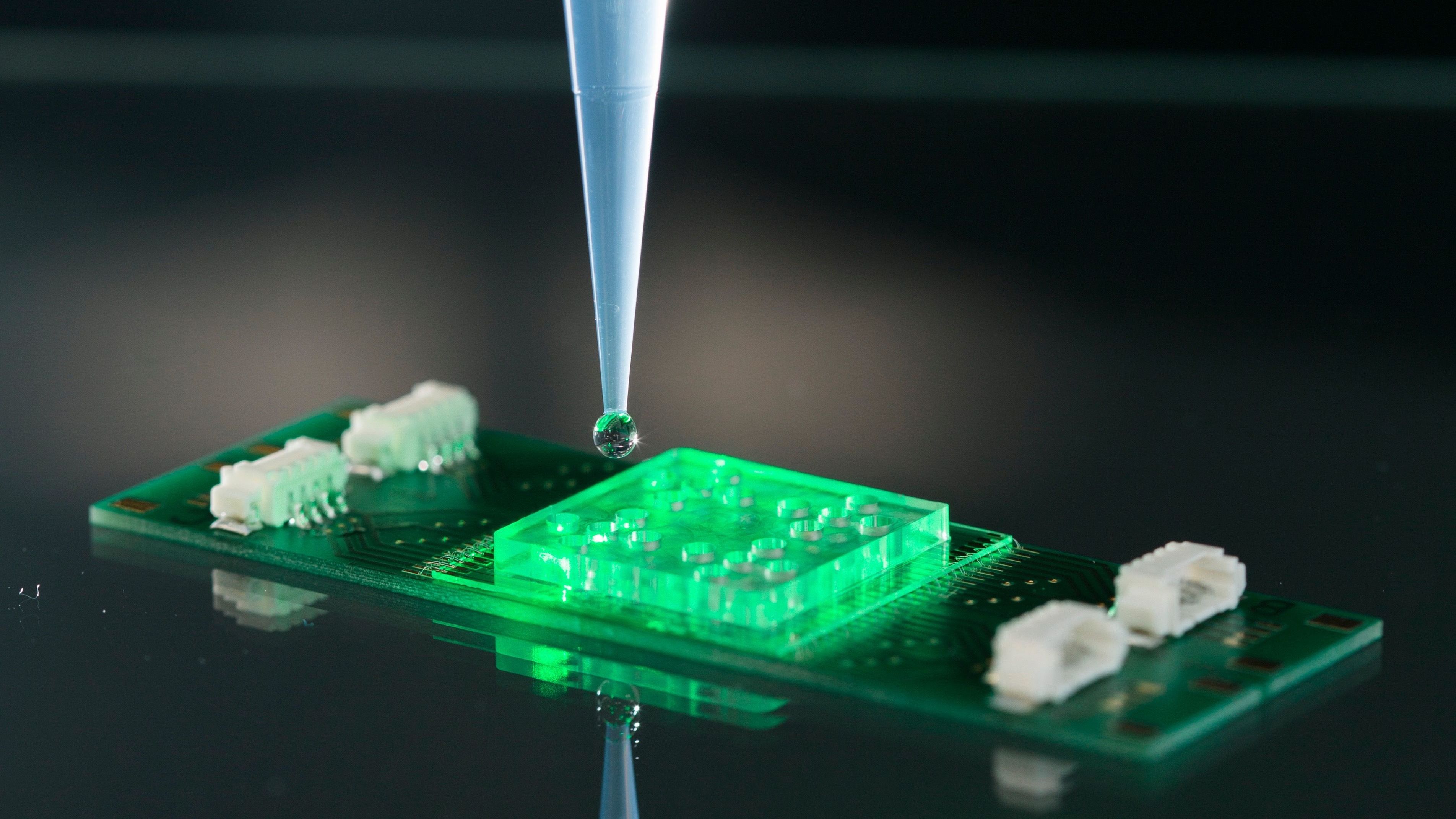 Schnell-Diagnose-Methode für Infektionskrankheiten