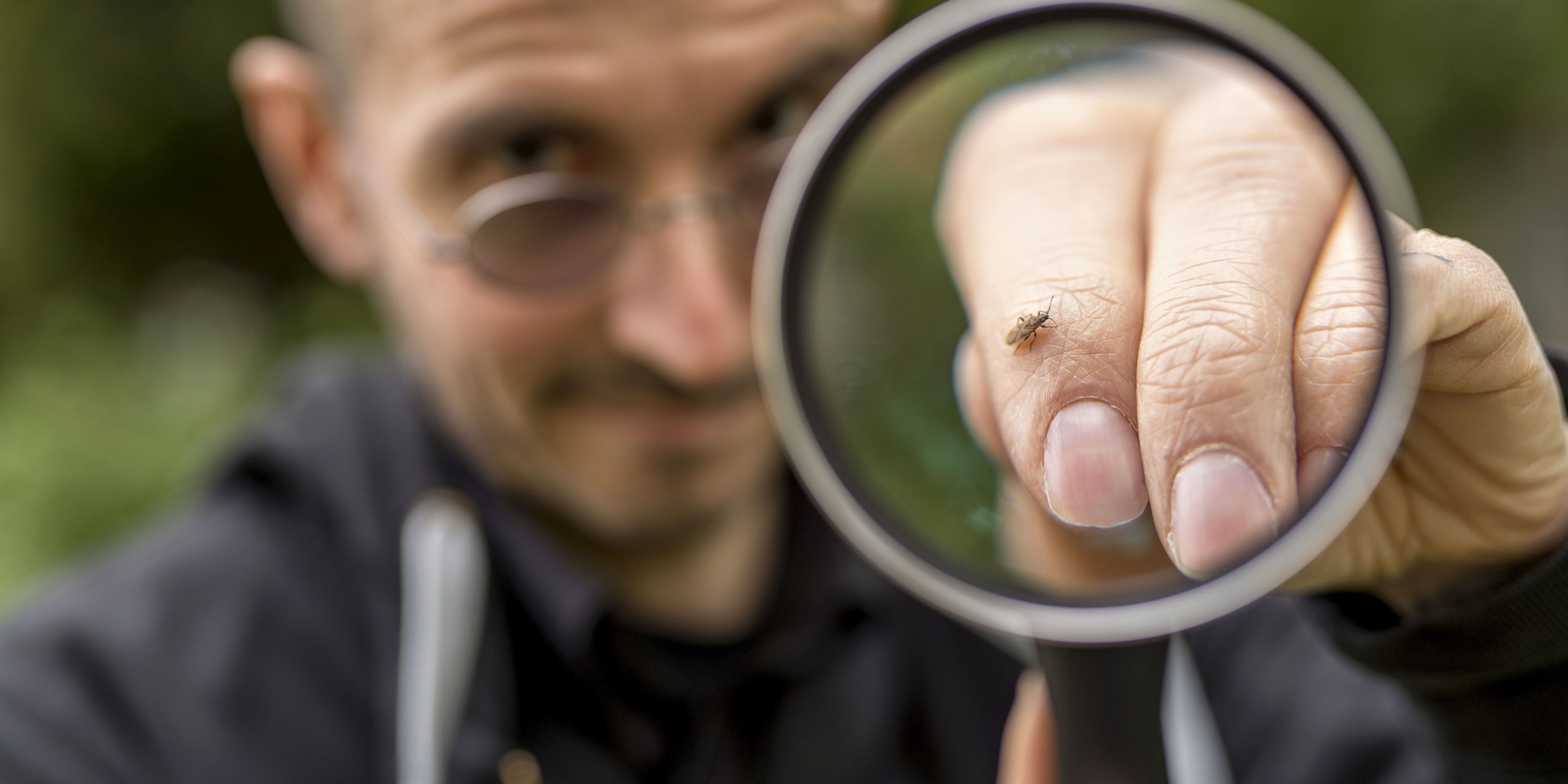 NABU Thüringen lädt zum „Insektensommer“ ein