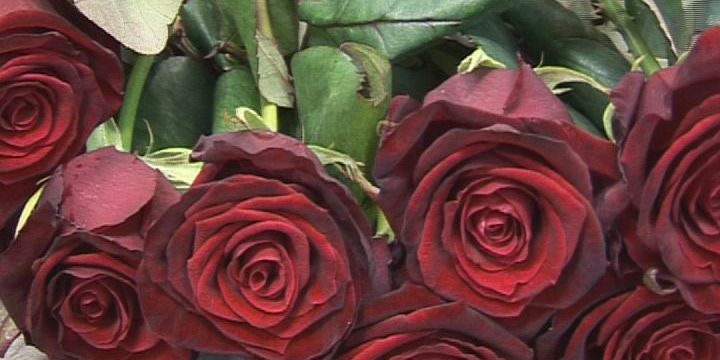 Hochzeits-Jubiläen im Mai