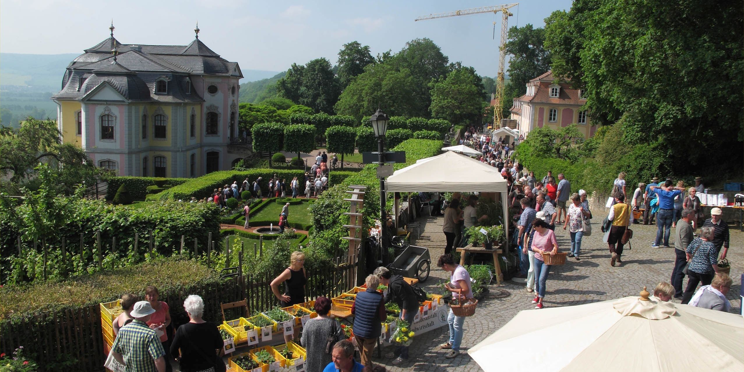 Dornburger Pflanzenbörse am 11. Mai