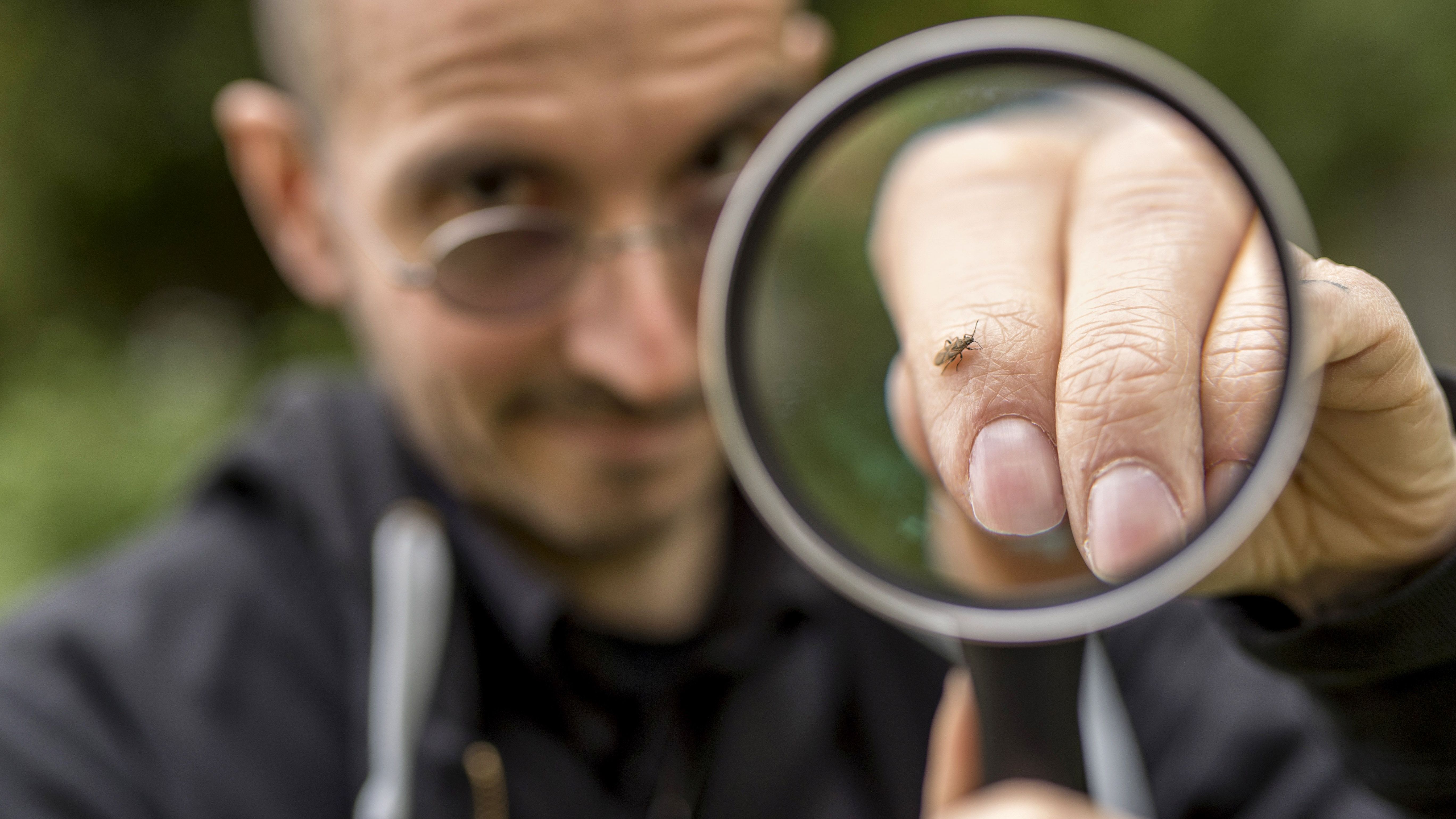 NABU Thüringen lädt zum „Insektensommer“ ein