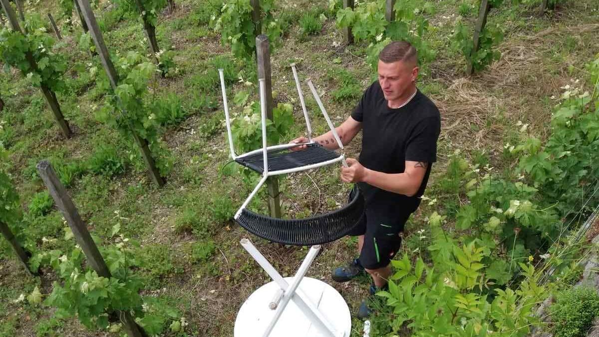 Vandalismus in den Dornburger Schlossgärten