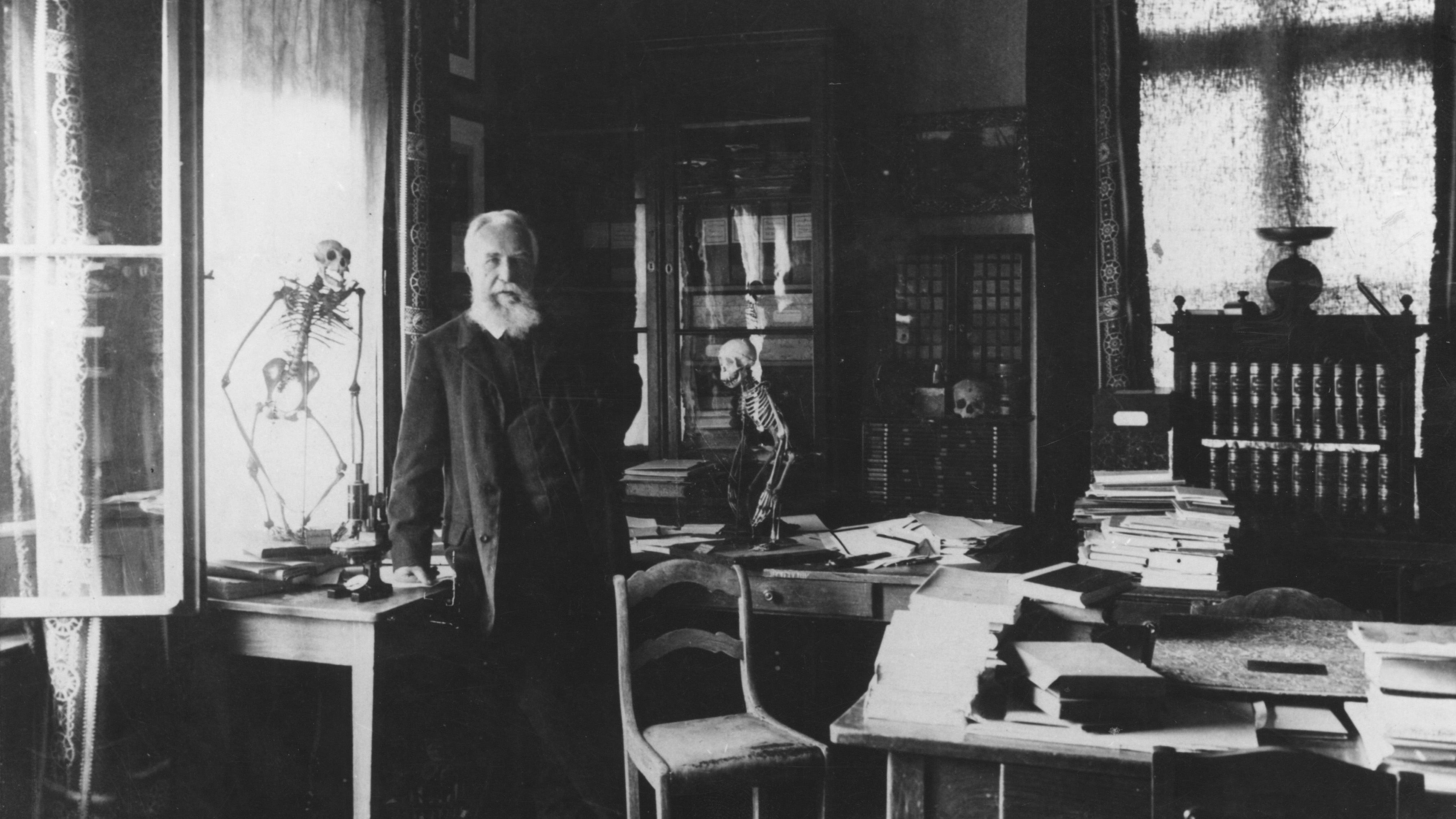 „Die Ära des Menschen und seiner Zivilisation“