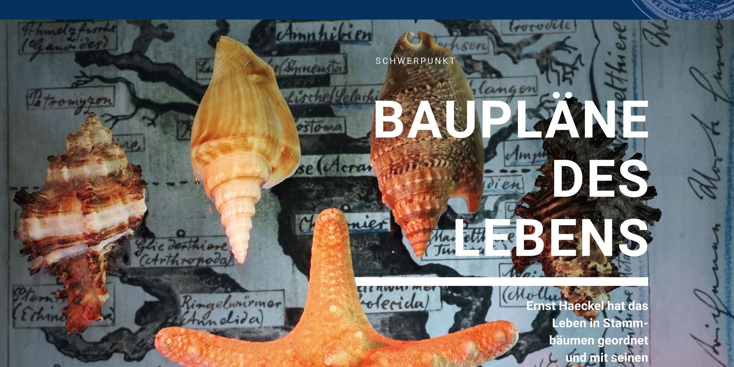 Neue Ausgabe des Uni-Forschungsmagazins 