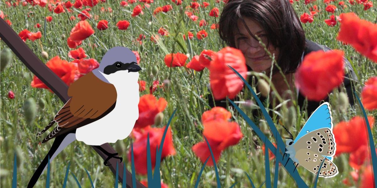 Unternehmen JustOn unterstützt NABU-Spendenaktion