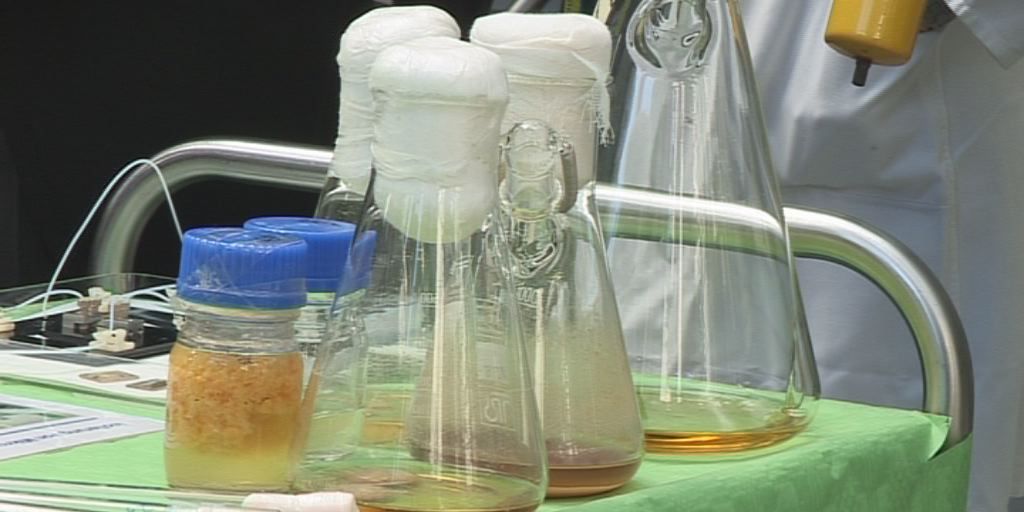 Grundsteinlegung für neues HKI-Laborgebäude 