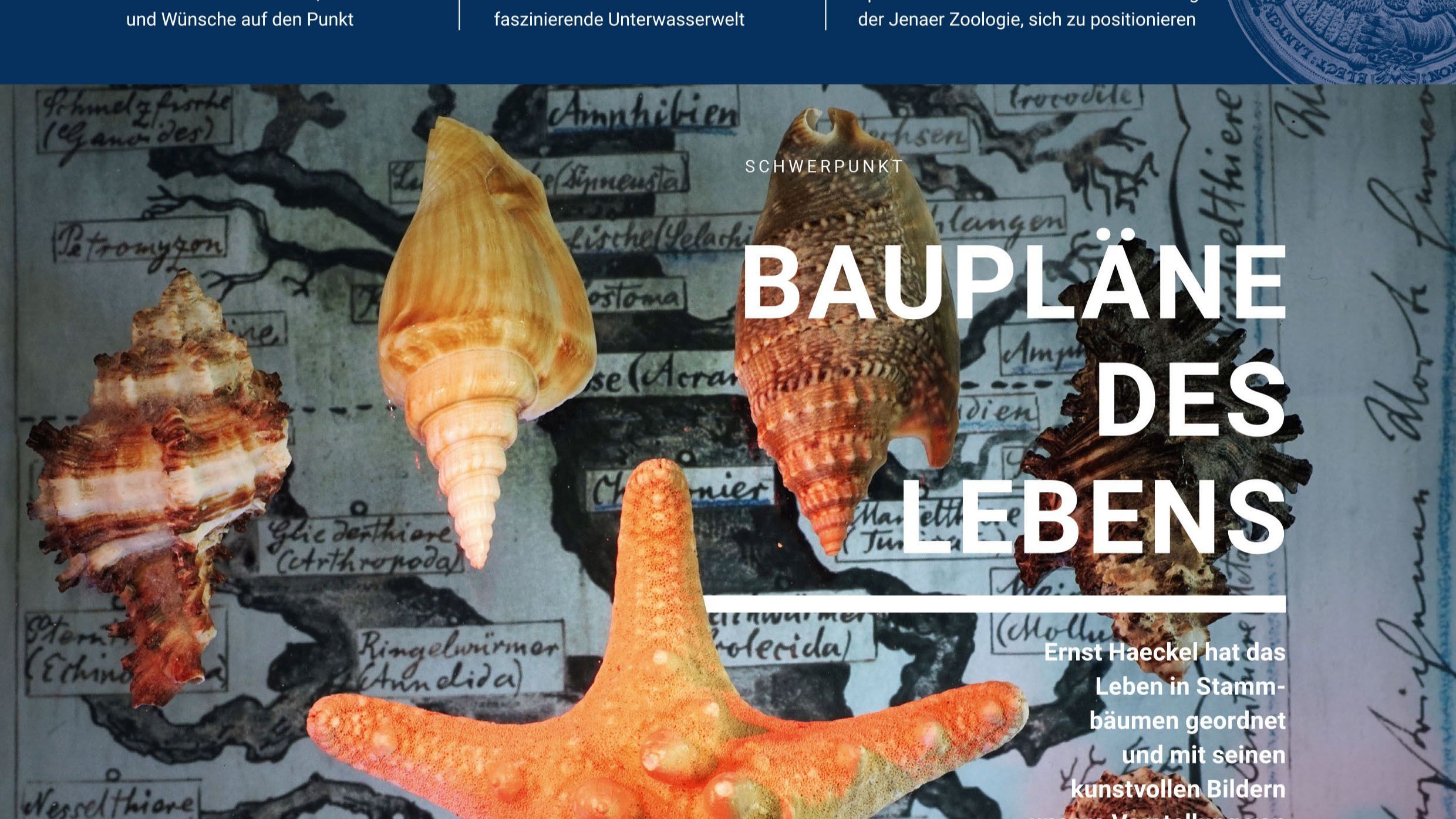 Neue Ausgabe des Uni-Forschungsmagazins 