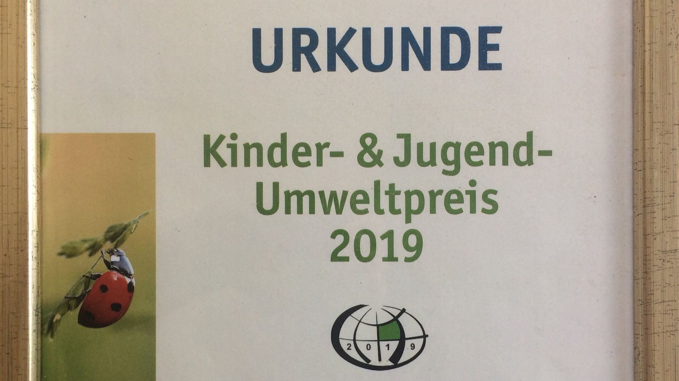 Kita „Jona & Joni“ gewinnen Jenaer Kinder- und Jugendumweltpreis 2019