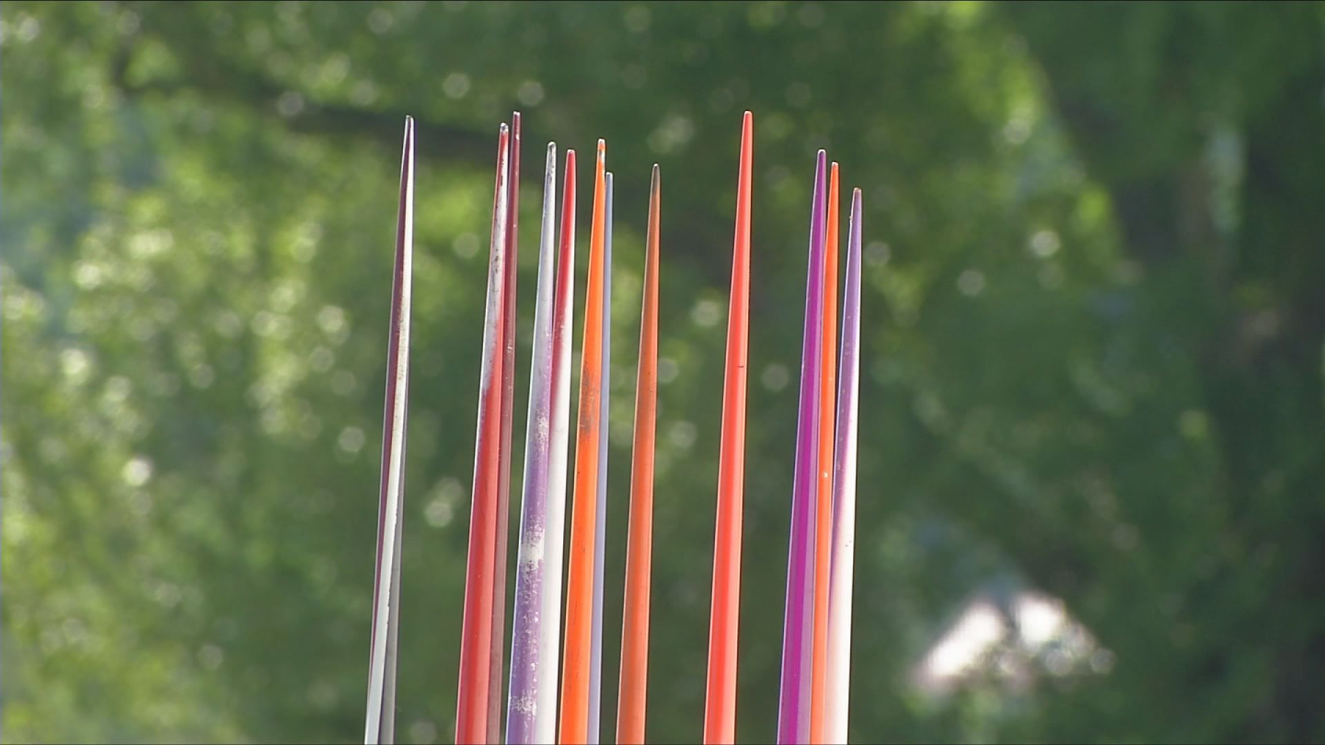 Gemeinsam am Start: Beim Speerwurf Festival werden mehr als 120  Athleten erwartet