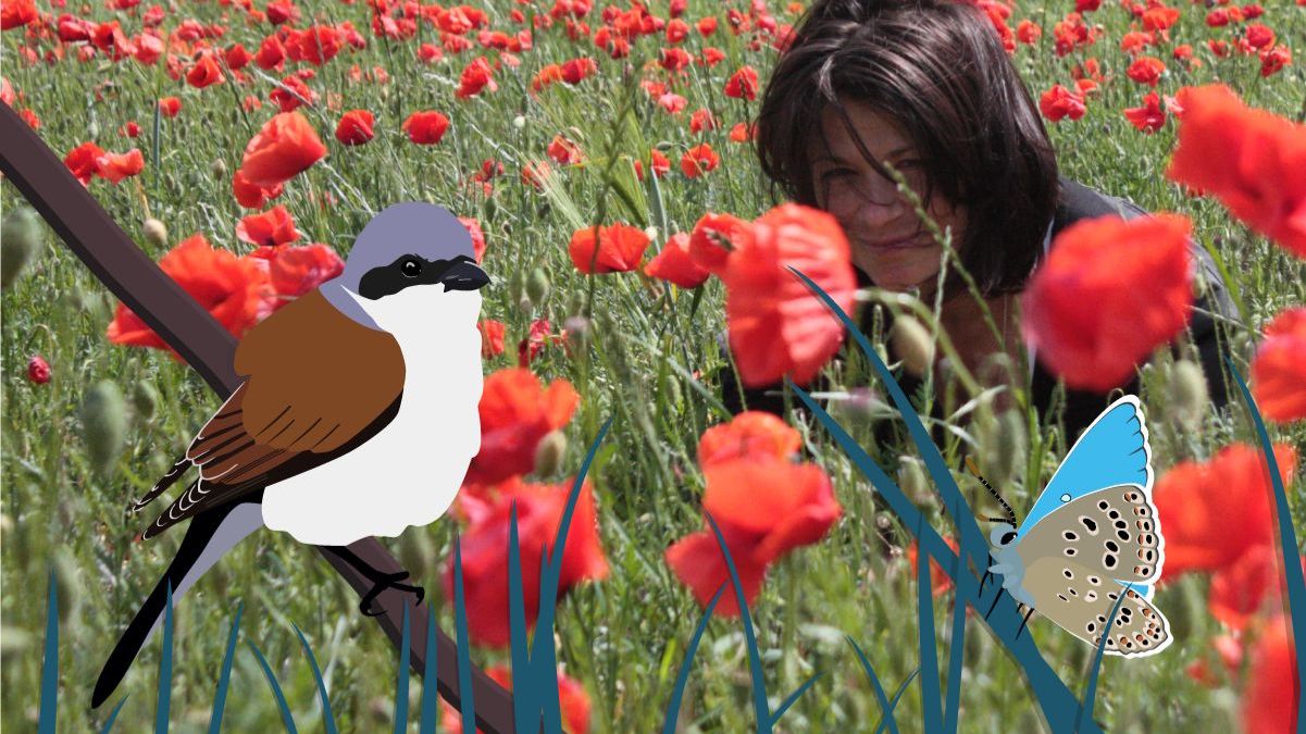 Unternehmen JustOn unterstützt NABU-Spendenaktion