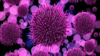 Masernerkrankungen in Jena