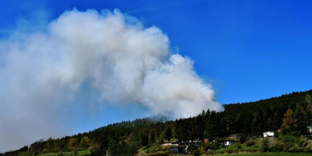 Waldbrandbilanz: Mehr Flächen betroffen 