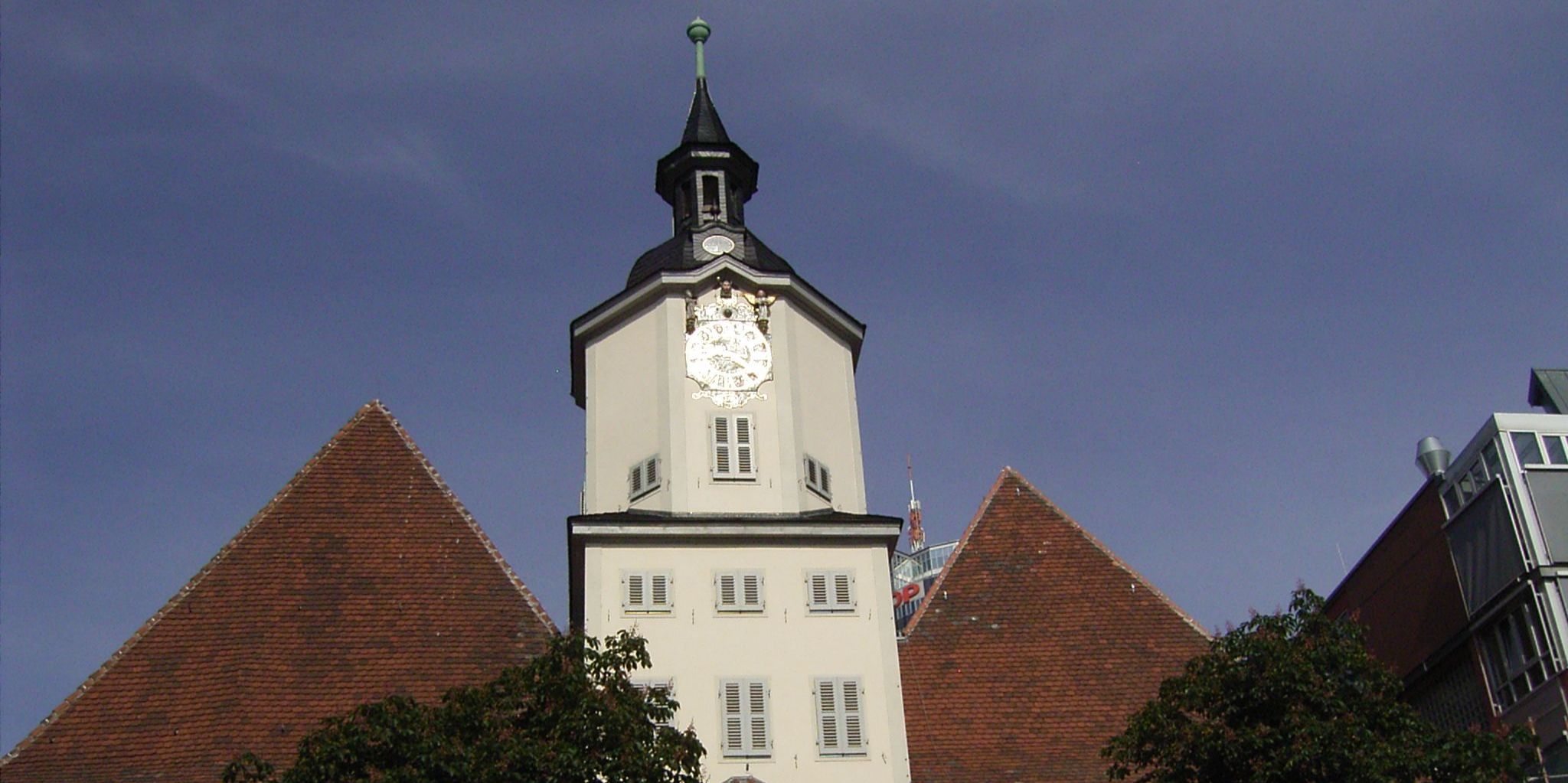 Weitere Mitglieder des Stadtrates verpflichtet