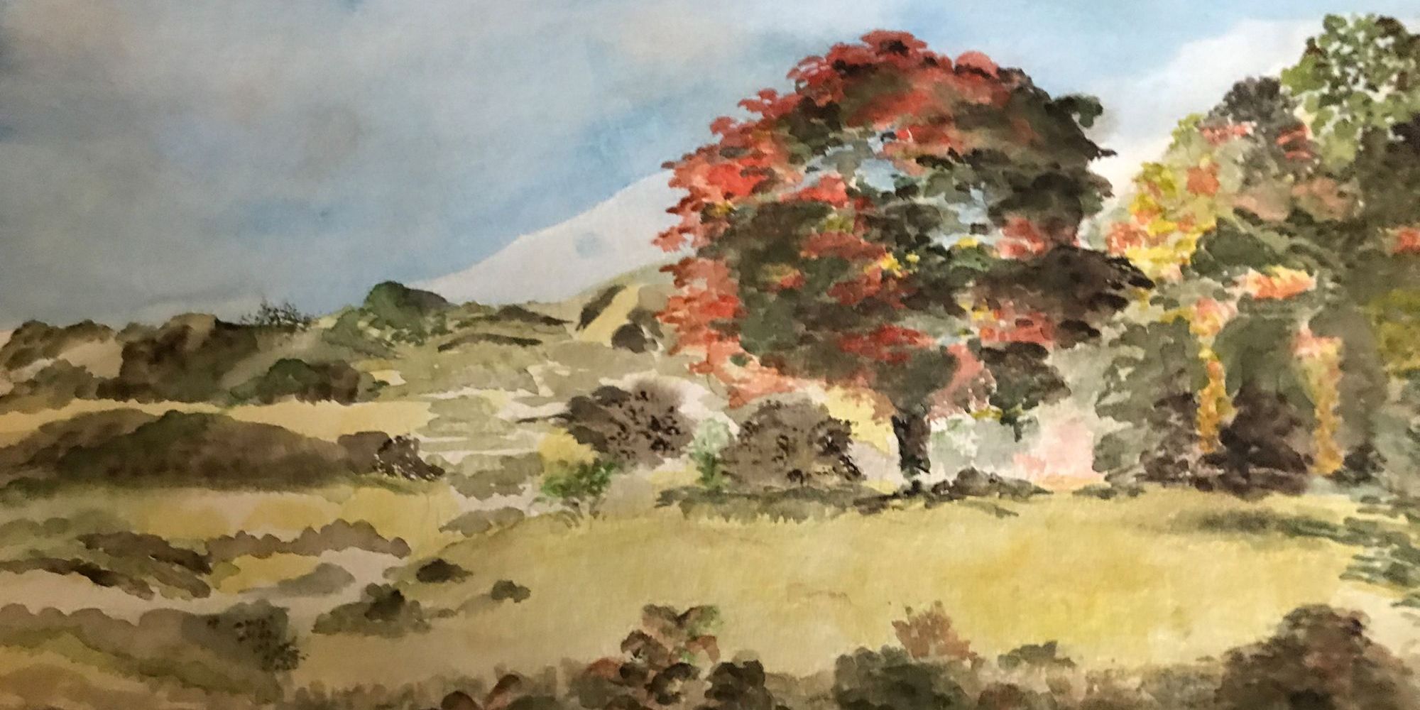 Nah- und Fernblick in neuer Ausstellung