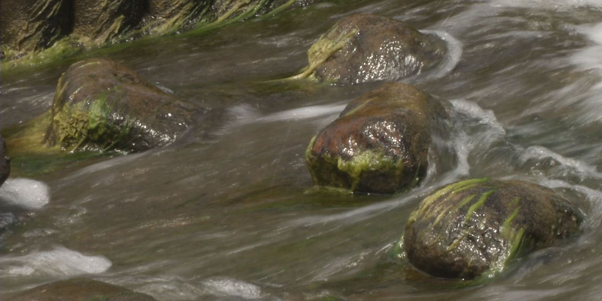 Keine Wasserentnahme ohne Erlaubnis