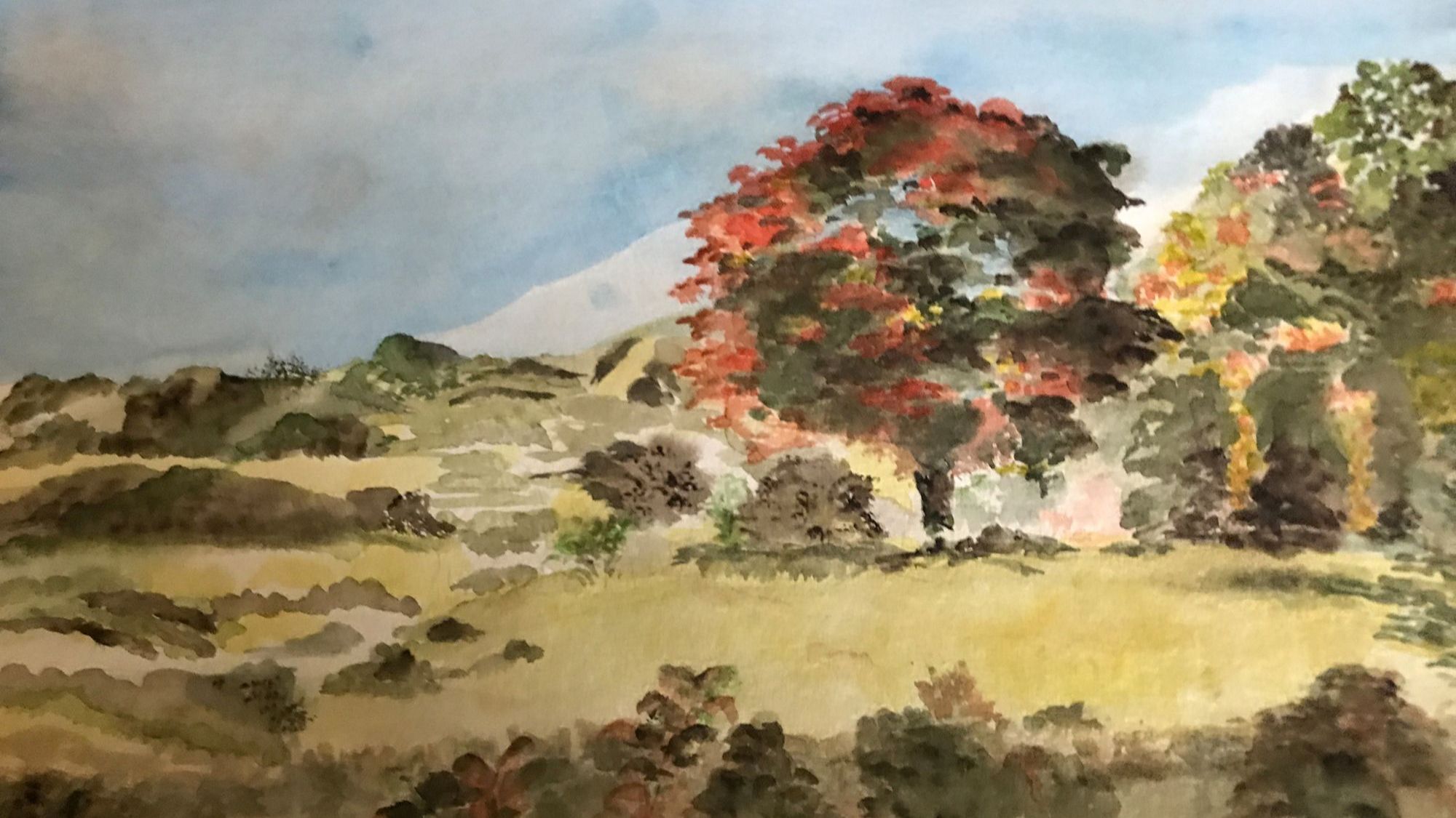 Nah- und Fernblick in neuer Ausstellung