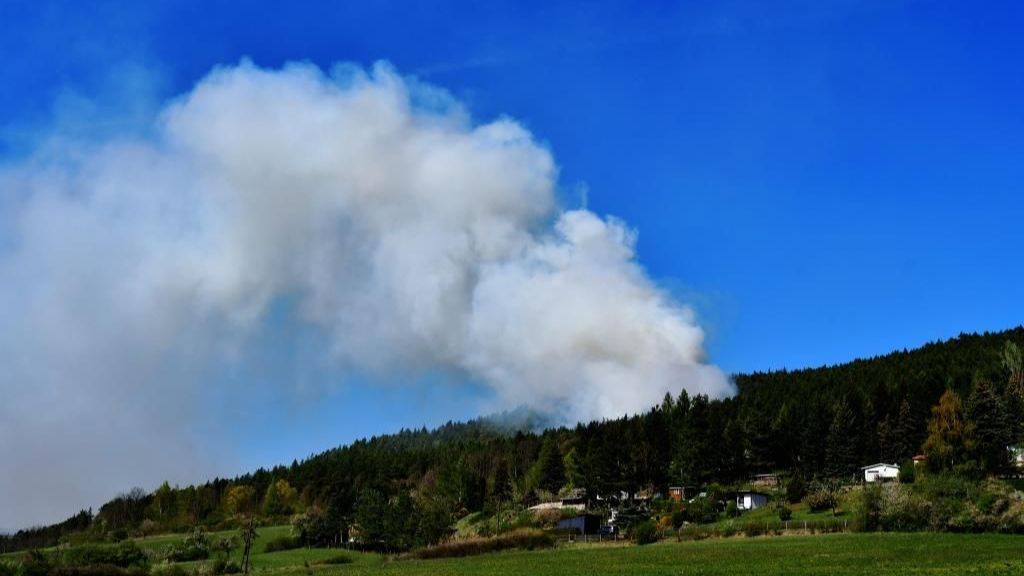 Waldbrandbilanz: Mehr Flächen betroffen 