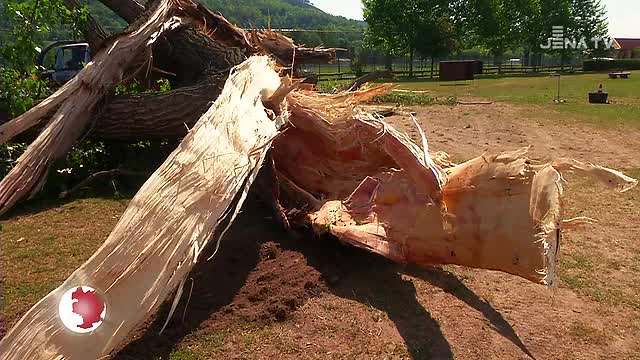 JenaJournal vom 30.07.2018