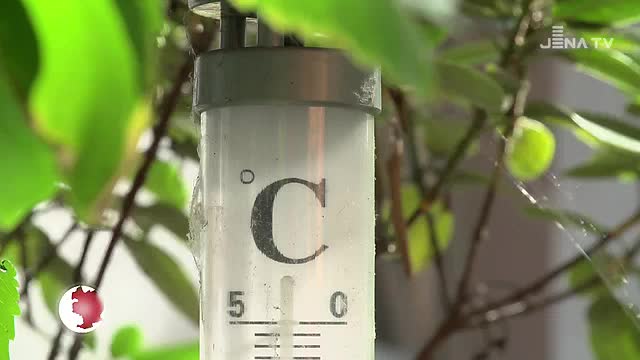 Hitze im Seniorenheim: Wie ältere Menschen mit den hohen Temperaturen zurecht kommen