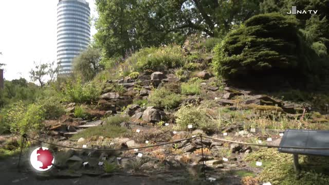Botanischer Garten Idylle aus Flora, Fauna, Wasser und Steinen Jena