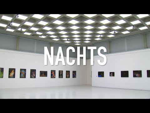 Neue Ausstellung im Brandenburgischen  landesmuseum für moderne kunst