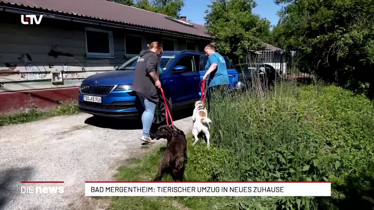 Bad Mergentheim: Tierischer Umzug in neues Zuhause 