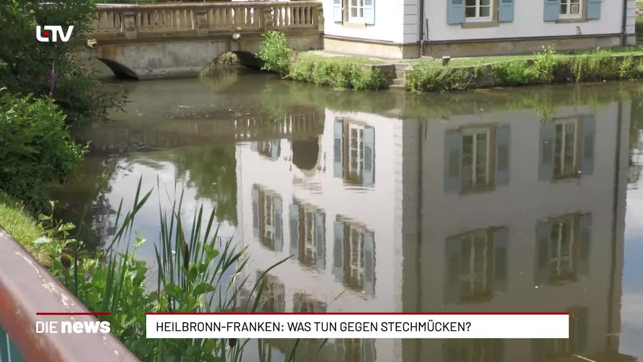 Heilbronn-Franken: Was tun gegen Stechmücken?