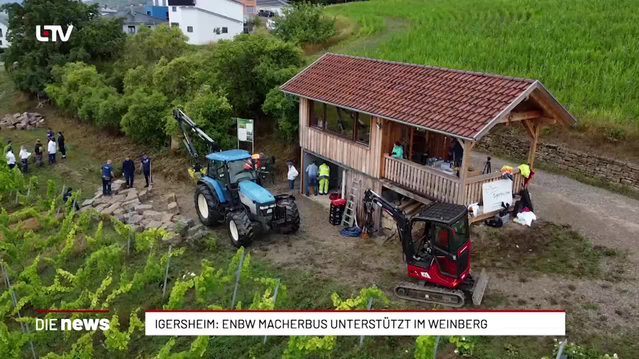 Igersheim: EnBW MacherBus unterstützt im Weinberg 