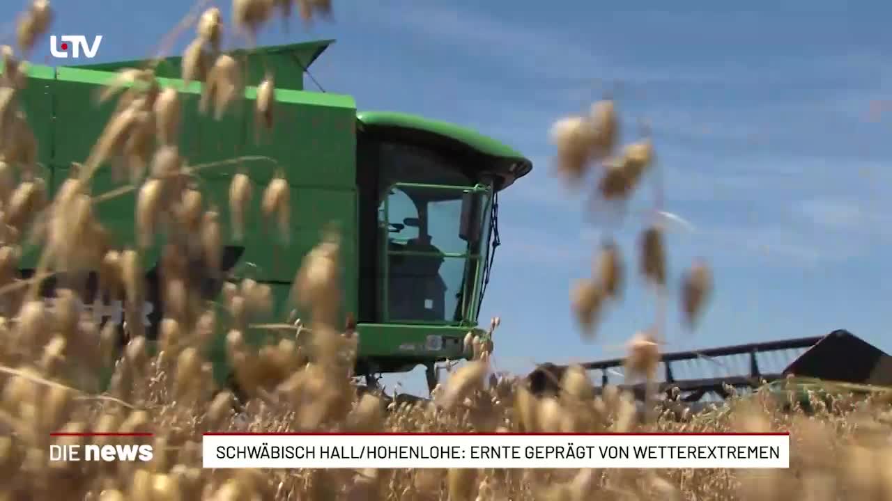 Schwäbisch Hall/Hohenlohe: Ernte geprägt von Wetterextremen