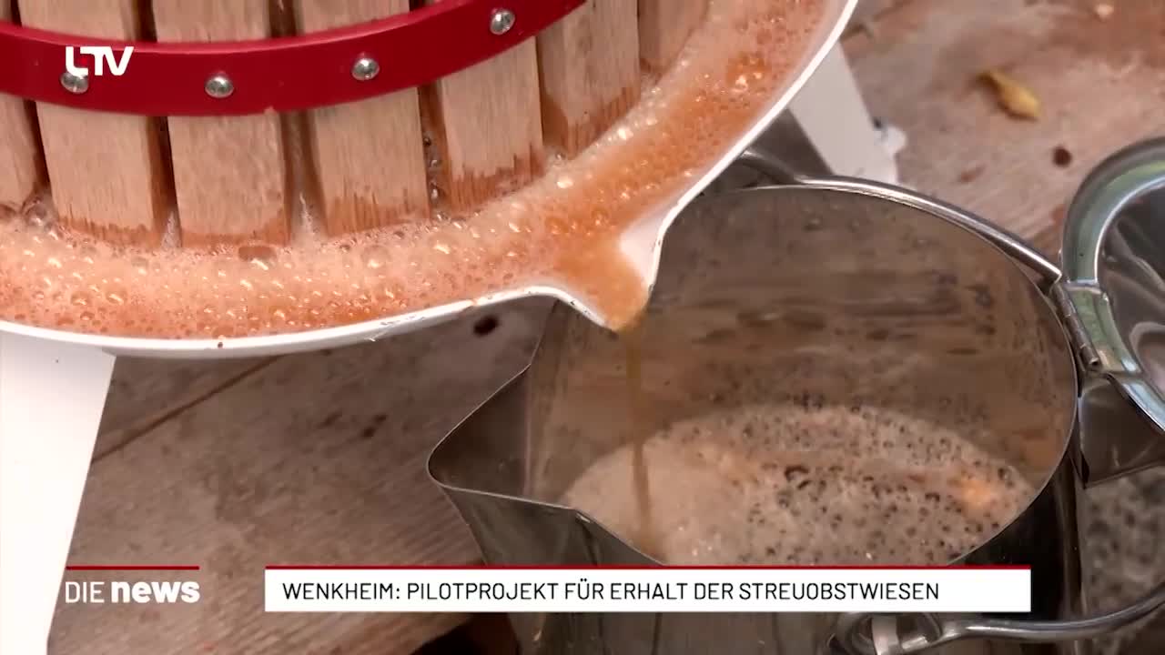 Wenkheim: Pilotprojekt für Erhalt der Streuobstwiesen 
