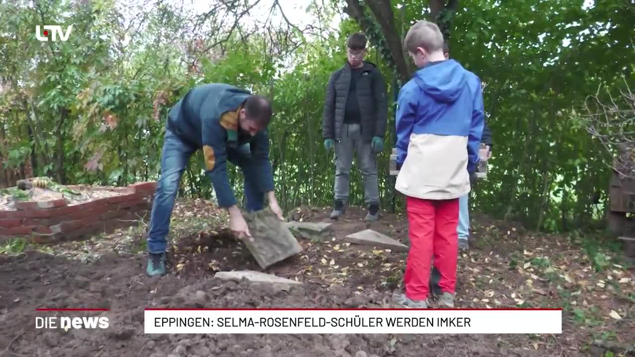 Eppingen: Selma-Rosenfeld-Schüler werden Imker