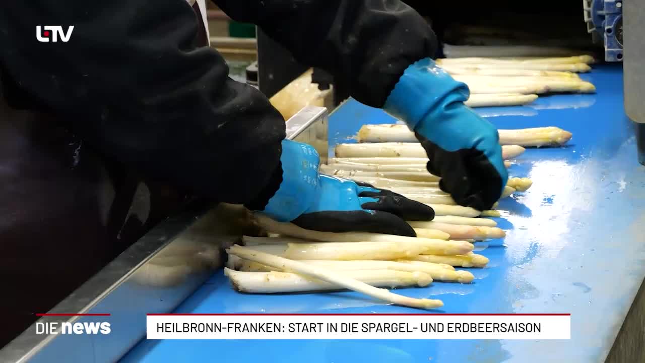 Heilbronn-Franken: Start in die Spargel- und Erdbeersaison
