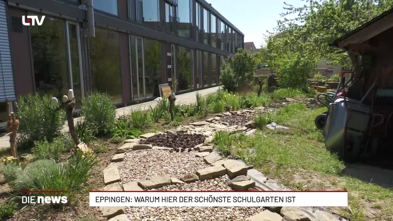 Eppingen gewinnt Deutschlands schönsten Schulgarten-Preis