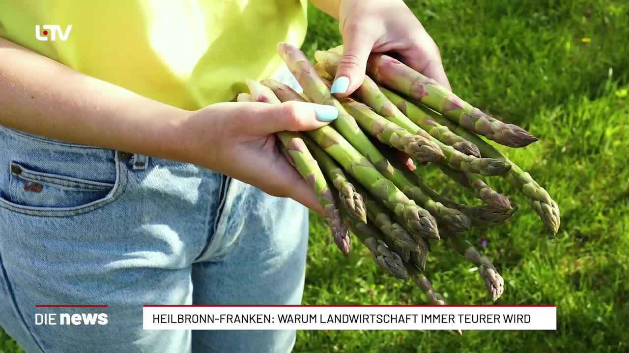 Heilbronn-Franken: Landwirte kämpfen gegen explodierende Betriebskosten