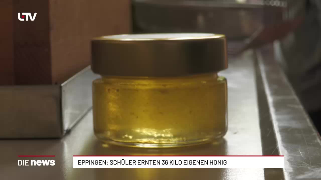 Eppingen: Schüler ernten 36 Kilo eigenen Honig