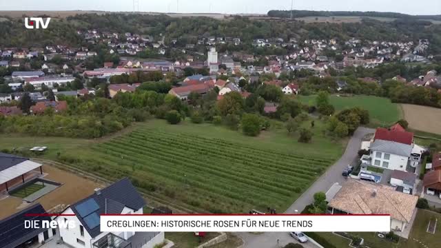 Creglingen: Historische Rosen für neue Trends