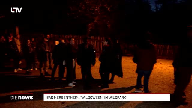 Bad Mergentheim: „Wildoween“ im Wildpark