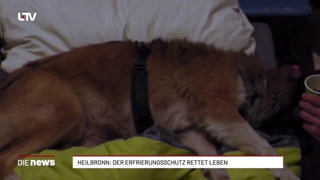 Heilbronn: Kälteschutz rettet Leben