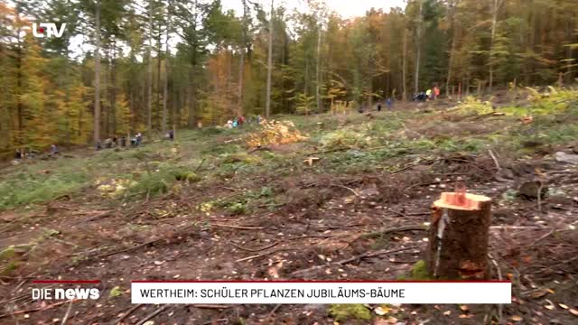 Wertheim: Schüler pflanzen Jubiläums-Bäume 