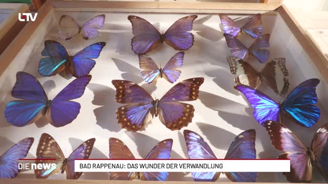 Bad Rappenau: Das Wunder der Verwandlung