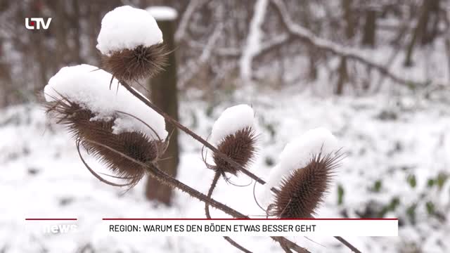 Region: Warum es den Böden etwas besser geht