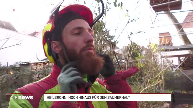 Heilbronn: Hoch hinaus für den Baumerhalt