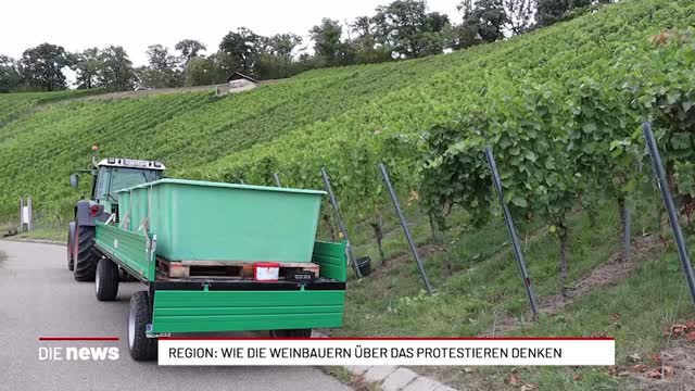 Region: Wie die Weinbauern übers das Protestieren denken